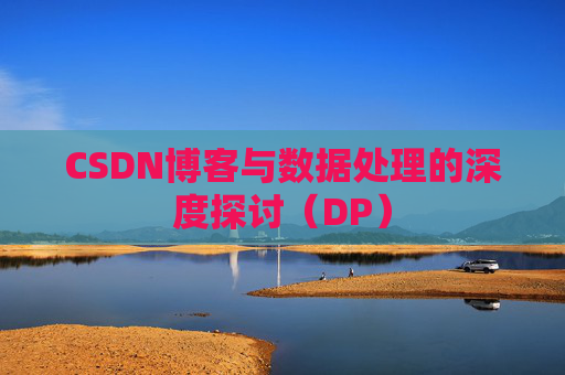 CSDN博客与数据处理的深度探讨（DP）